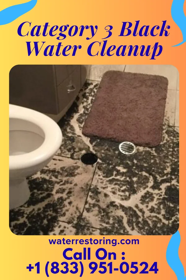 Category 3 Black Water Cleanup in Knox, IN