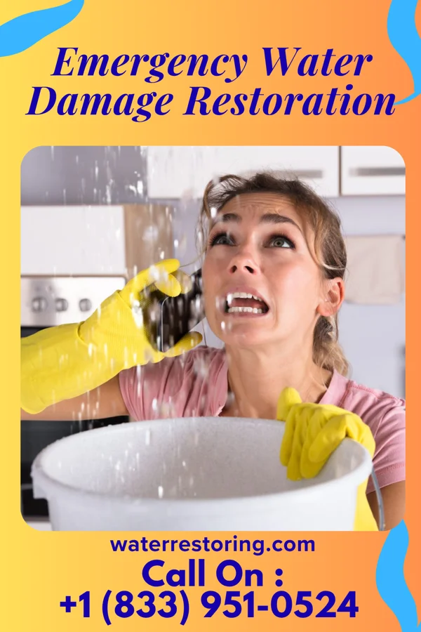 Emergency Water Damage Restoration in Knox, IN