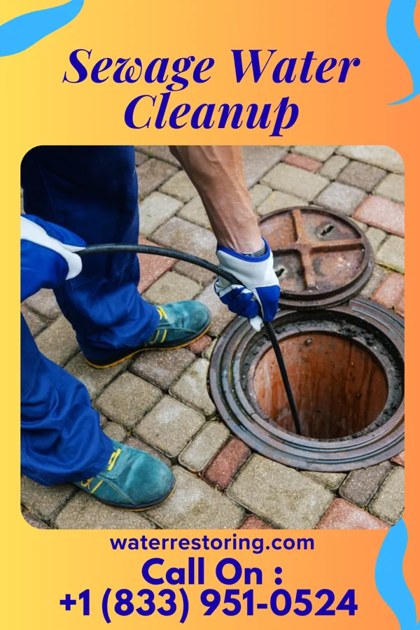 Sewage Water Cleanup in Knox, IN