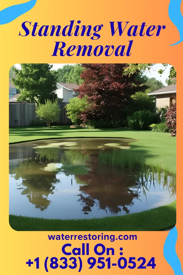 Standing Water Removal in Knox, IN